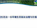系统生态法—水环境生态综合治理与价值提升